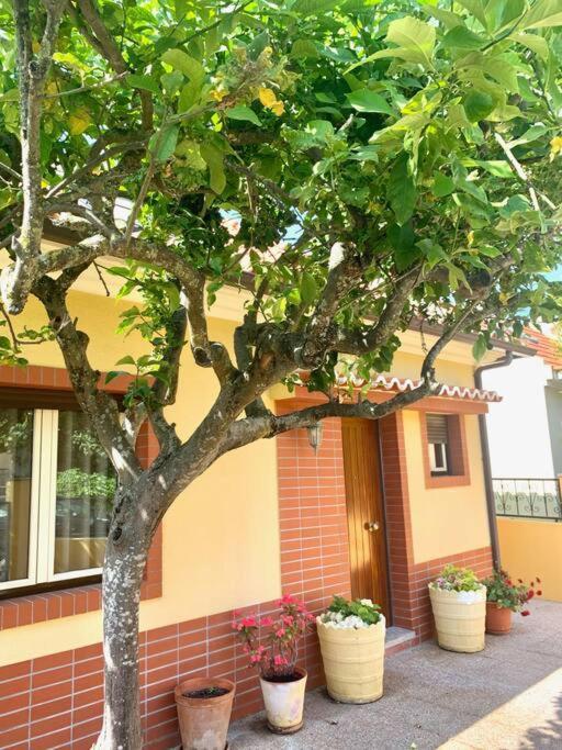 Top Beach House Кошта-да-Капаріка Екстер'єр фото